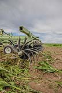 23 Fallow Master Orthman